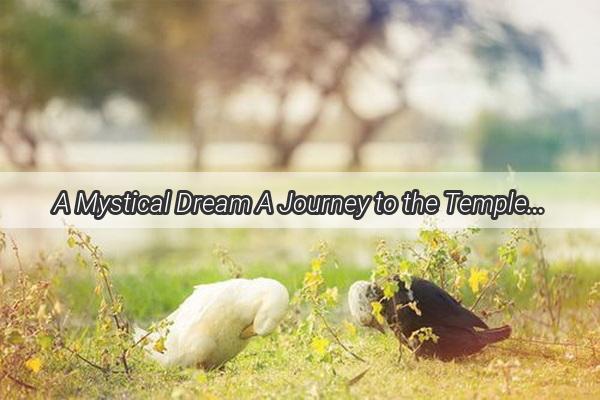 A Mystical Dream A Journey to the Temple and the Serene Monk